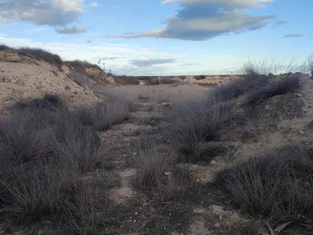 Terreno en venta en Los Montesinos, Alicante photo 2
