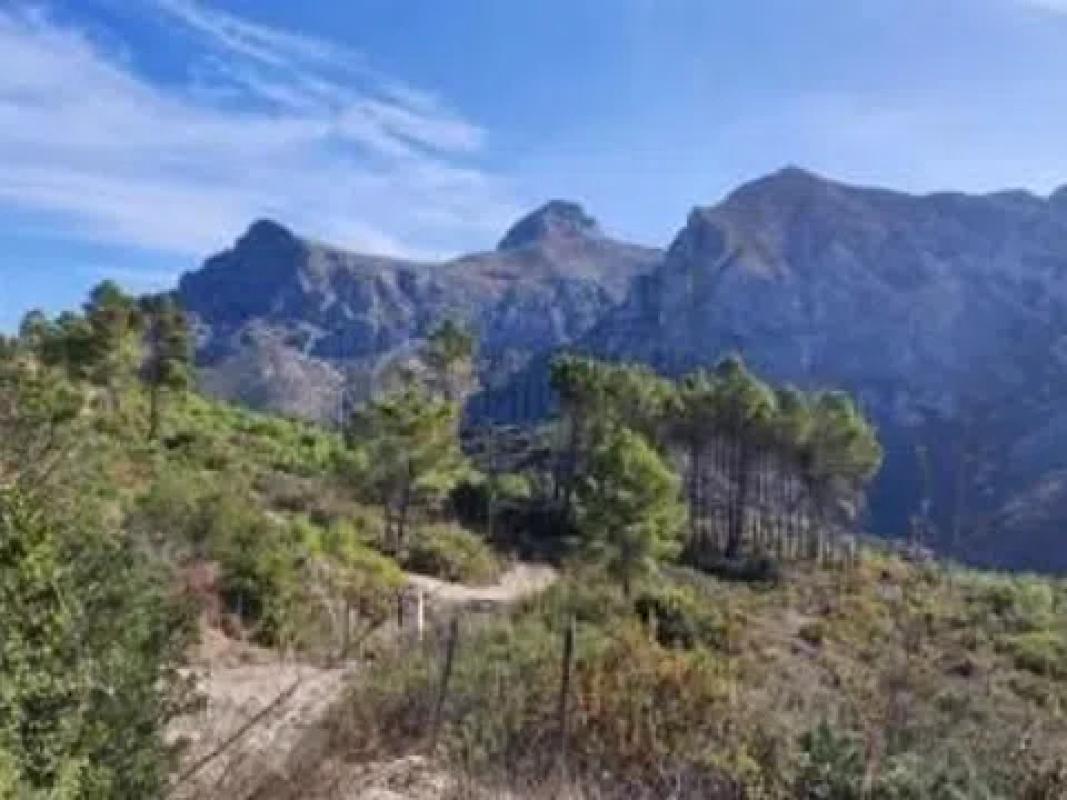 Działka na sprzedaż w Callosa d'En Sarria, Alicante photo 1