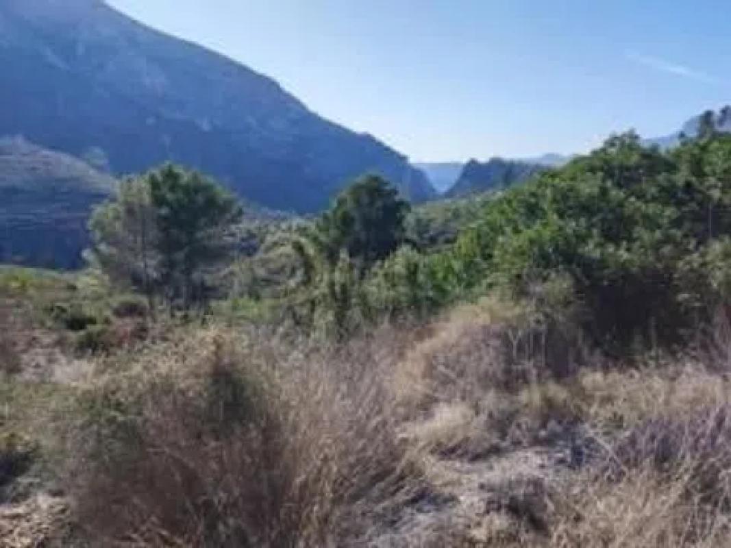 Działka na sprzedaż w Callosa d'En Sarria, Alicante photo 2