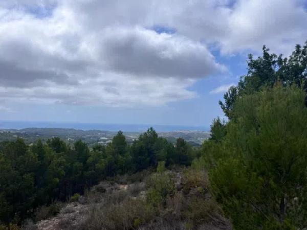 Terreno en Callosa d'En Sarria photo 4