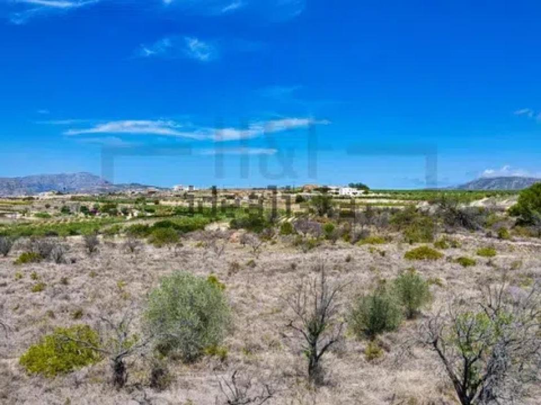Land for sale in Teulada, Alicante photo 1