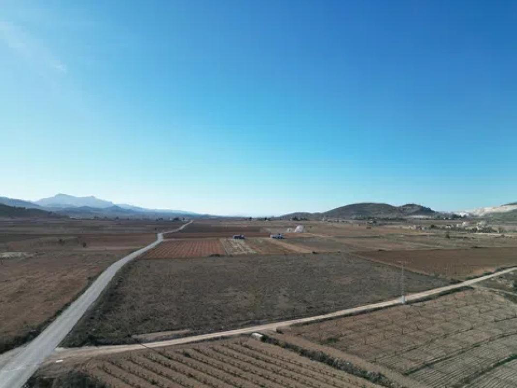 Terreno en venta en Pinoso, Alicante photo 2