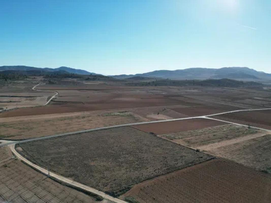 Terreno en venta en Pinoso, Alicante photo 4