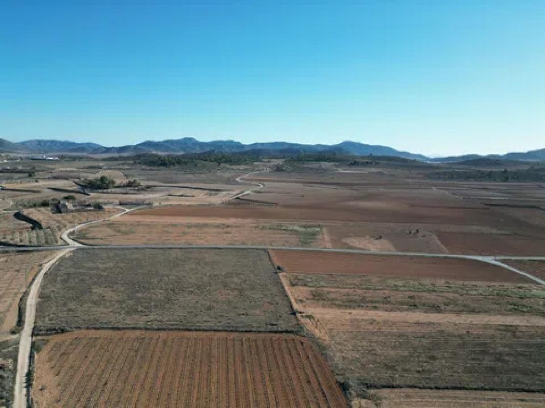 Terreno en venta en Pinoso, Alicante photo 5