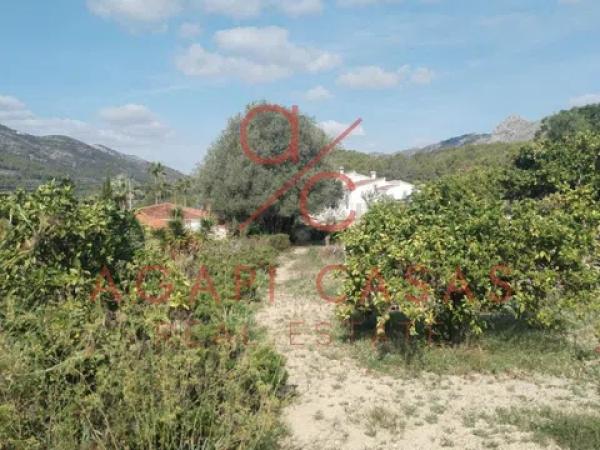 Terreno en Parcent photo 2