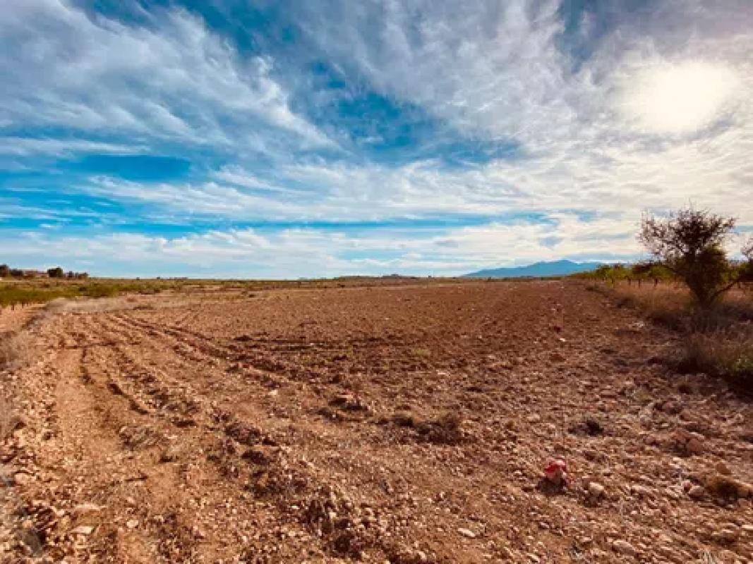 Terreno en venta en Pinoso, Alicante photo 2