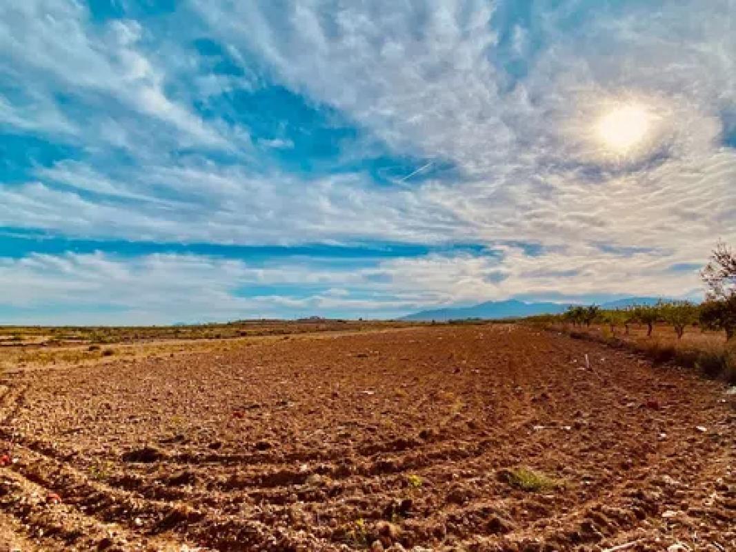 Terreno en venta en Pinoso, Alicante photo 3