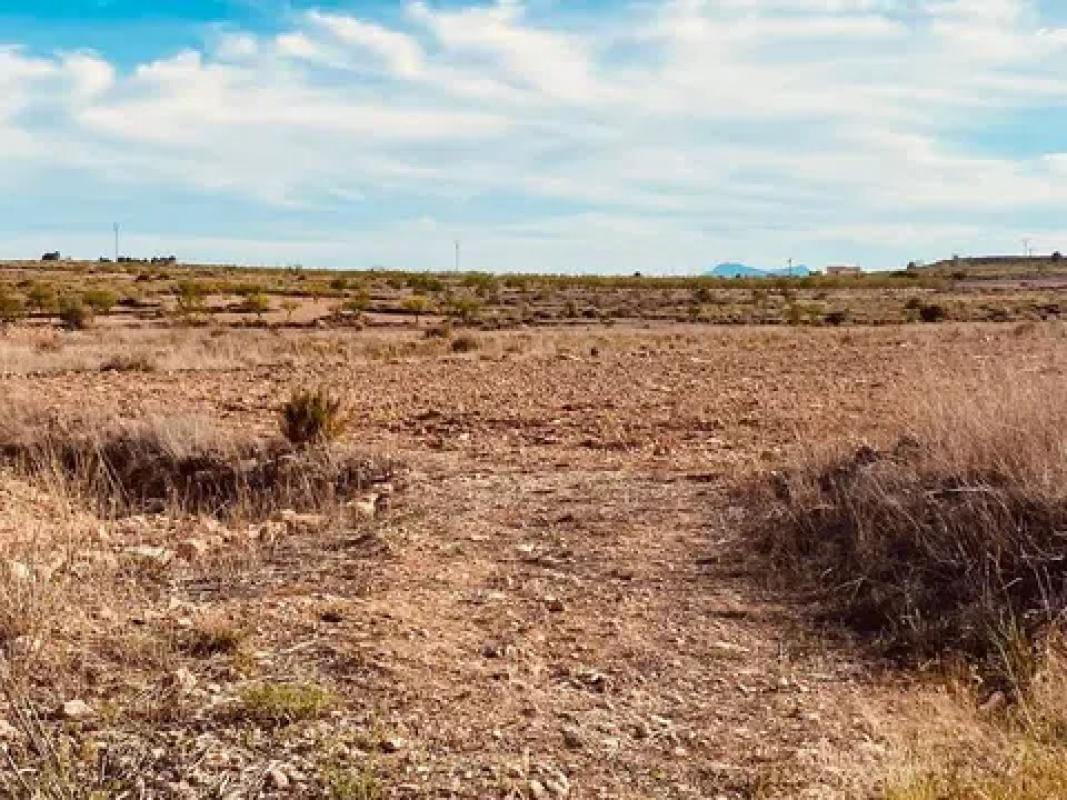 Terreno en venta en Pinoso, Alicante photo 4