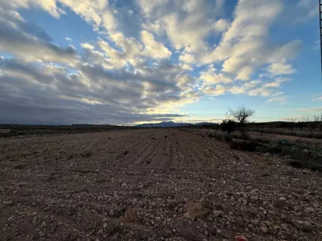 Terreno en venta en Pinoso, Alicante photo 5