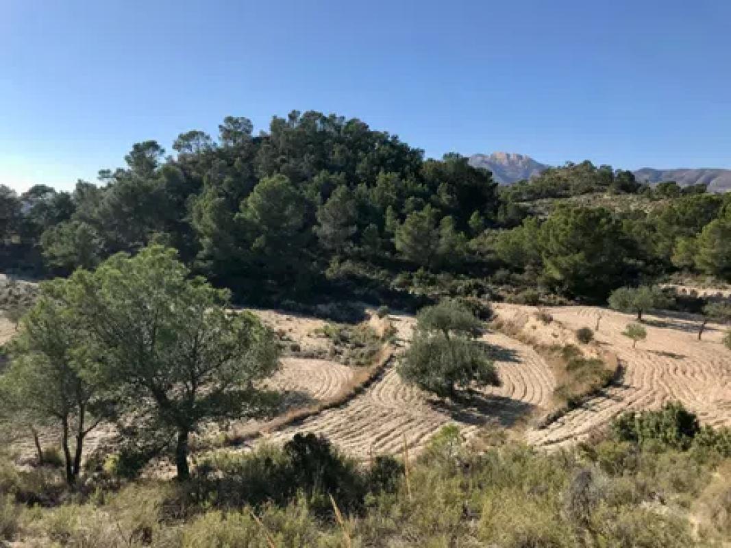 Terreno en venta en Torremanzanas, Alicante photo 4