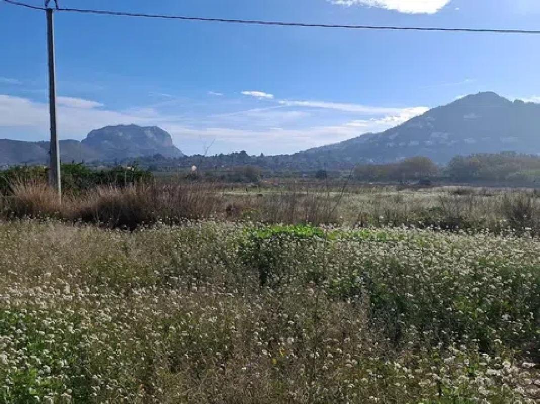 Terreno en venta en Ondara, Alicante photo 4