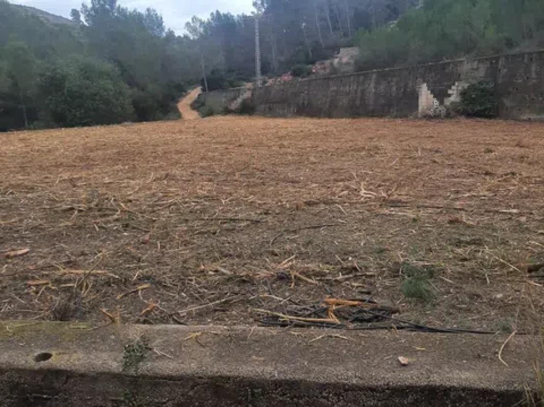 Land for sale in Benidoleig, Alicante photo 3