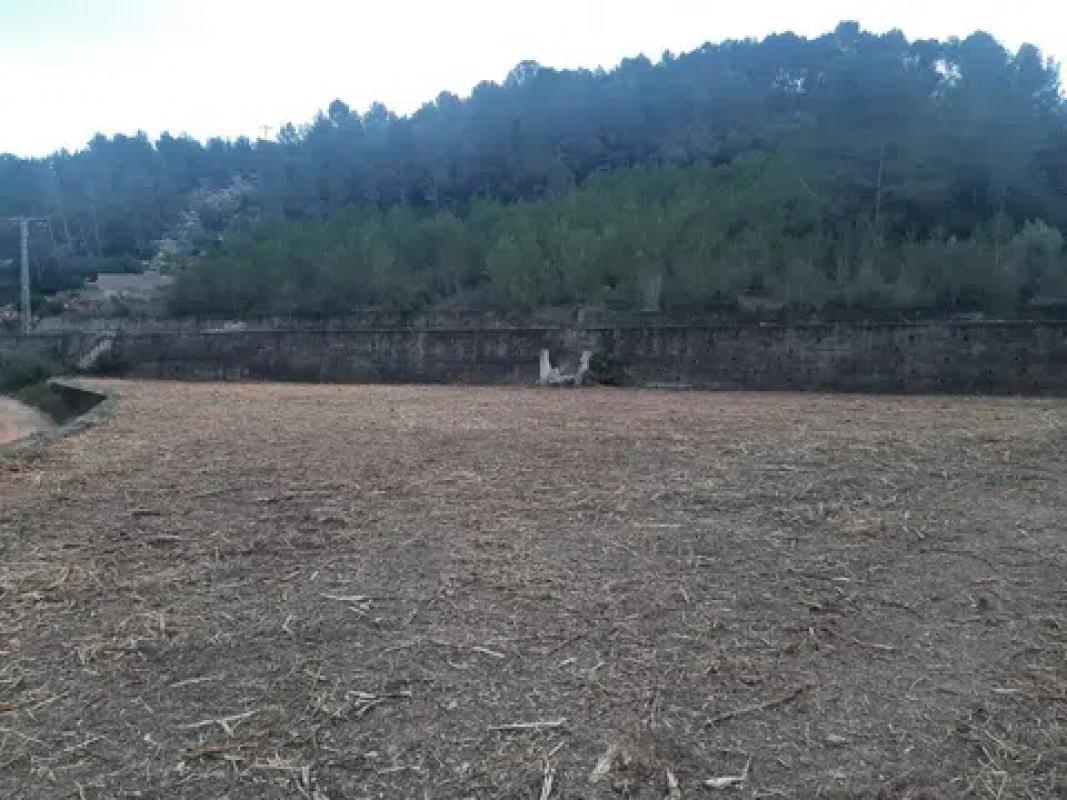 Land for sale in Benidoleig, Alicante photo 5