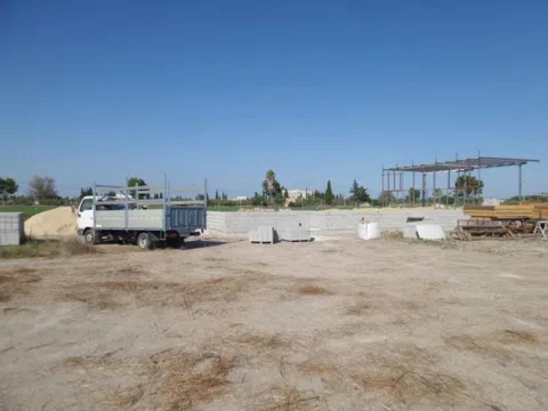 Land for sale in Catral, Alicante photo 2