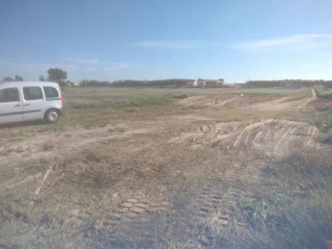 Land for sale in Catral, Alicante photo 3