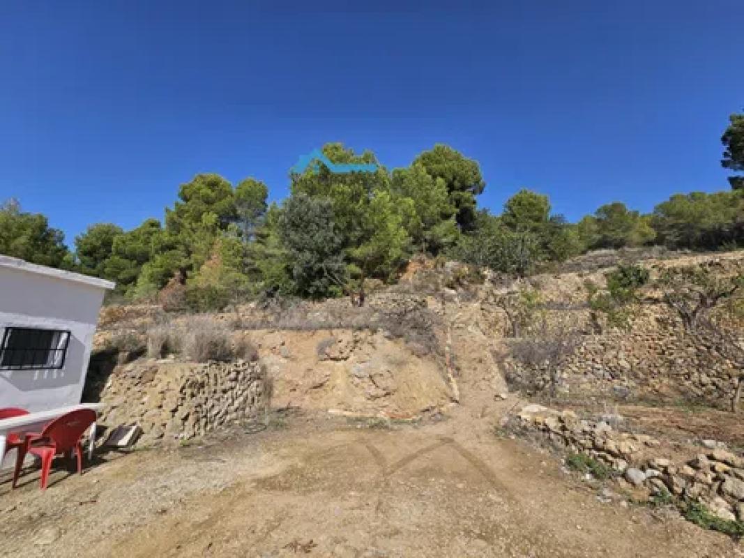 Działka na sprzedaż w Callosa d'En Sarria, Alicante photo 3