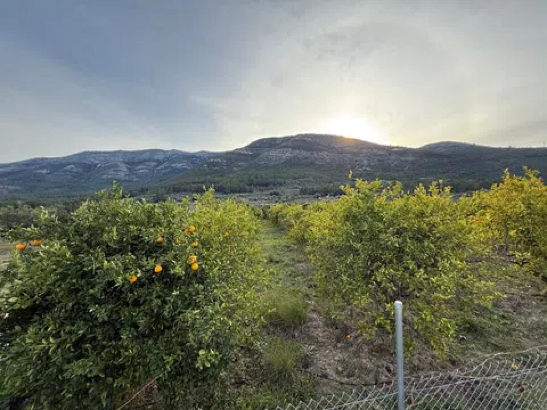 Terreno en venta en Benichembla, Alicante photo 1
