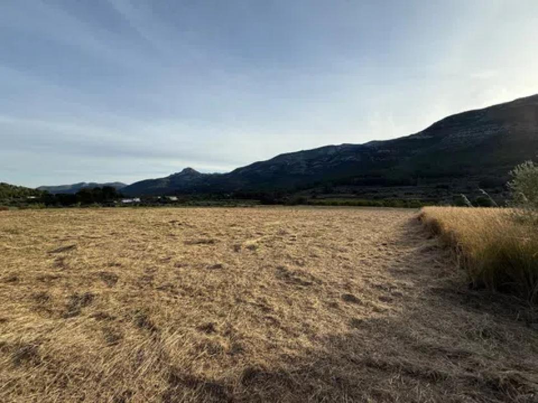 Terreno en venta en Benichembla, Alicante photo 4