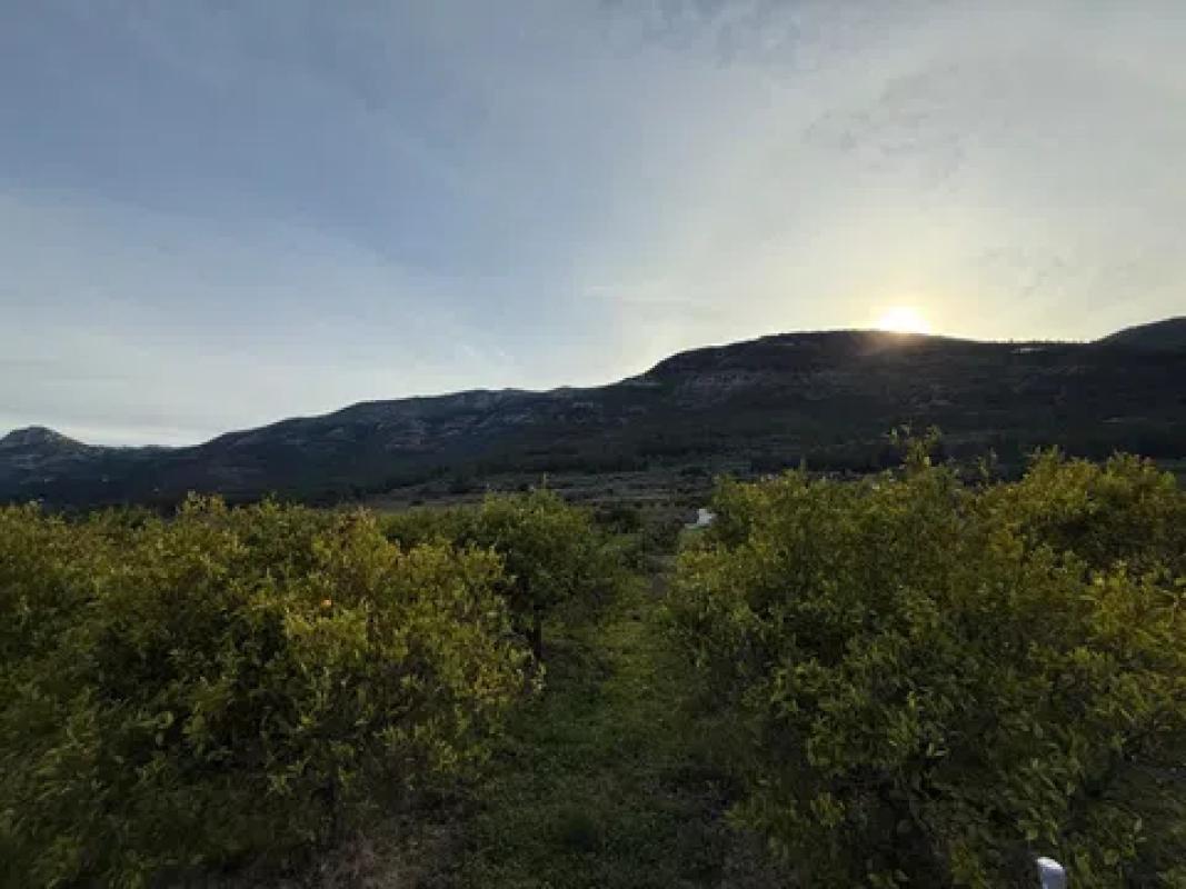 Terreno en venta en Benichembla, Alicante photo 5