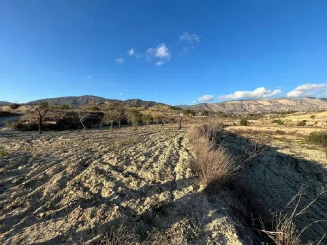 Land for sale in Relleu, Alicante photo 1
