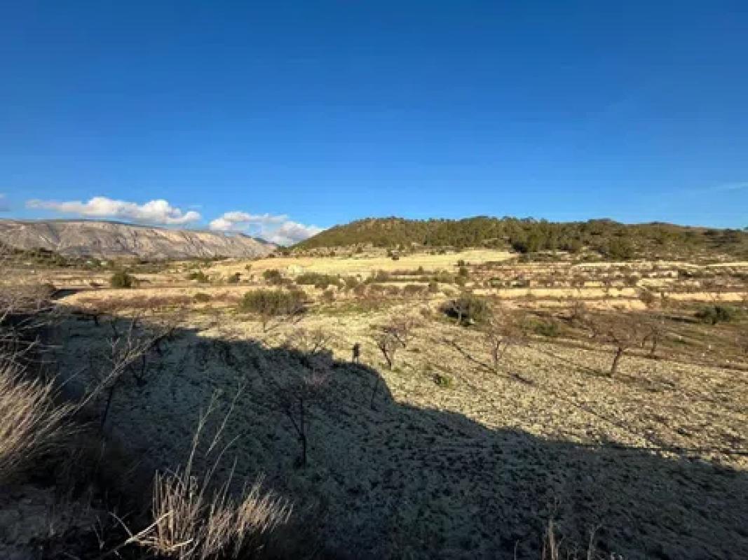 Land for sale in Relleu, Alicante photo 2
