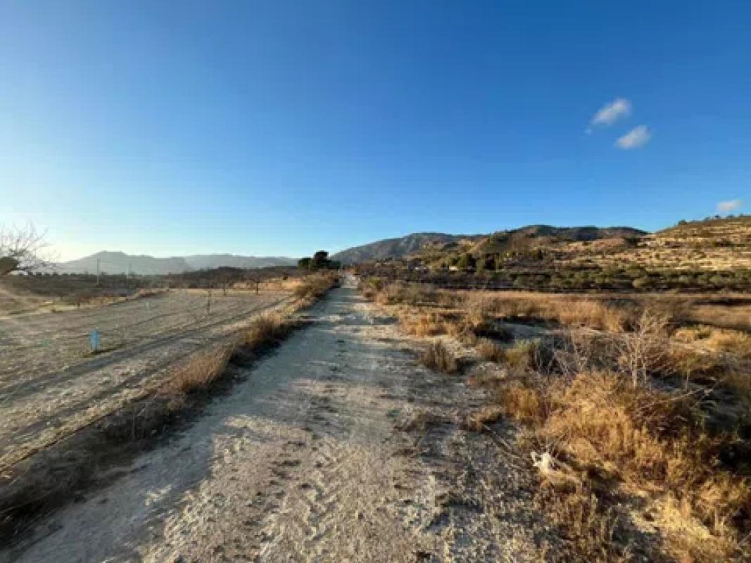 Land for sale in Relleu, Alicante photo 3