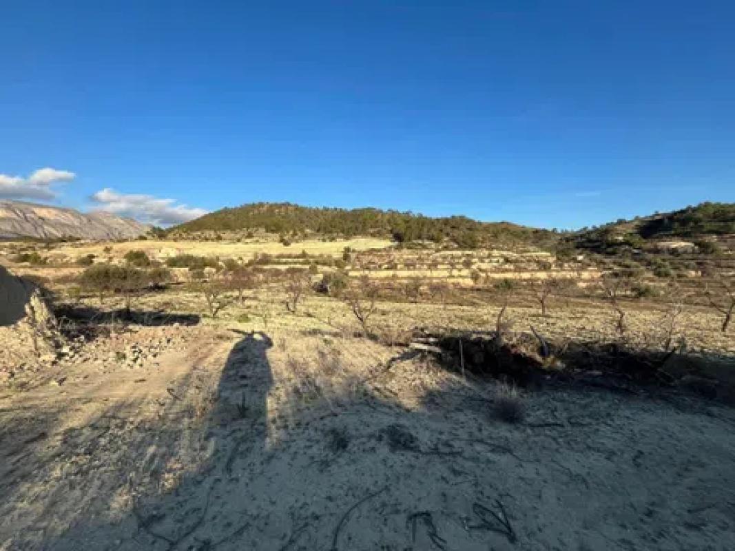 Land for sale in Relleu, Alicante photo 5