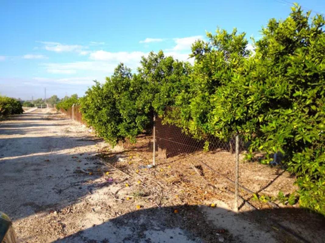 Terreno en venta en Benejuzar, Alicante photo 1