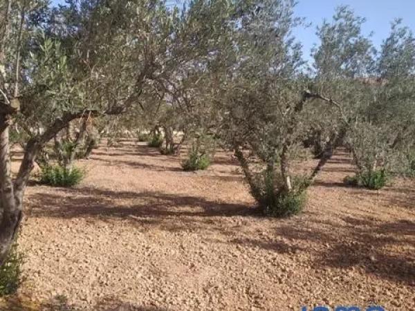 Terreno en calle Cabo de Palos thumbnail 2