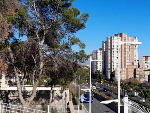 Terreno en avenida de Dénia, 131 photo 2