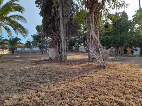 Terreno en avenida de Dénia, 131 photo 3