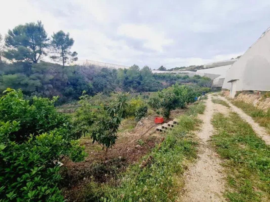 Terreno en venta en Callosa d''En Sarria, Alicante photo 2