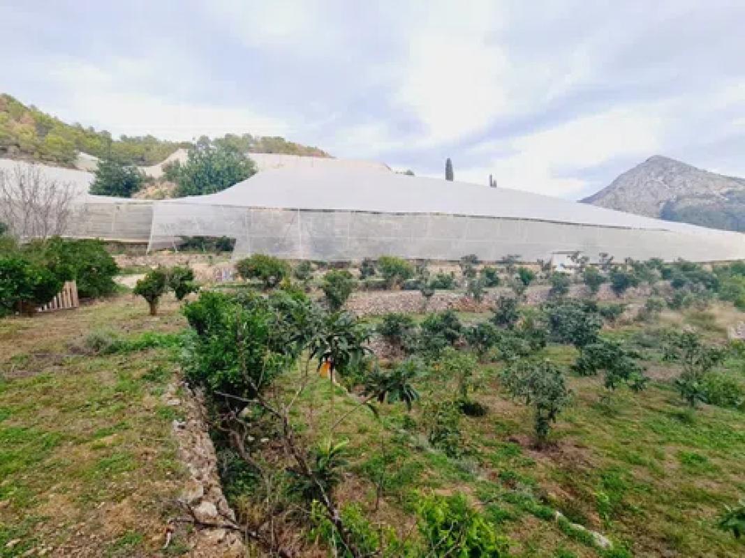 Terreno en venta en Callosa d''En Sarria, Alicante photo 3