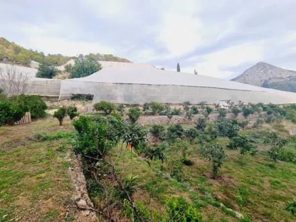 Terreno en Partida Clots, 30 photo 3