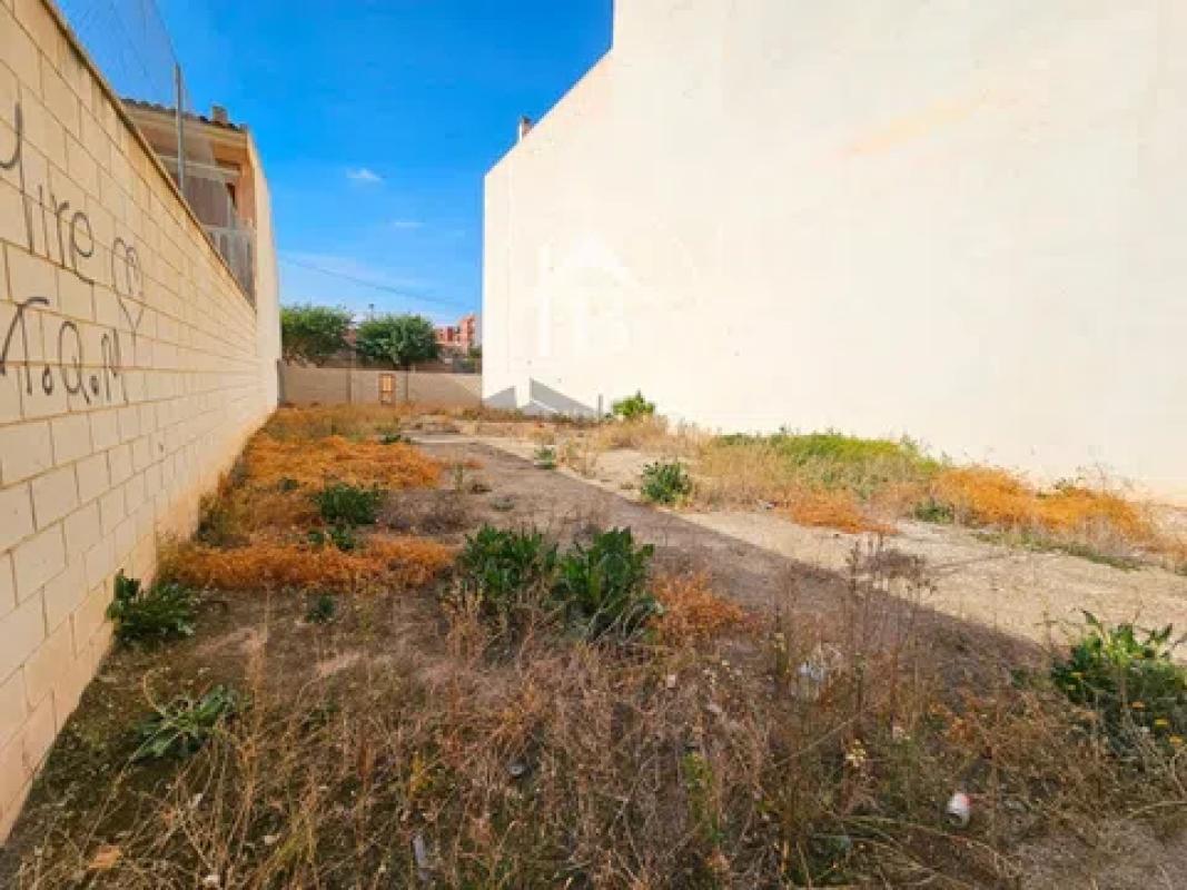 Land for sale in Mutxamel, Alicante photo 2