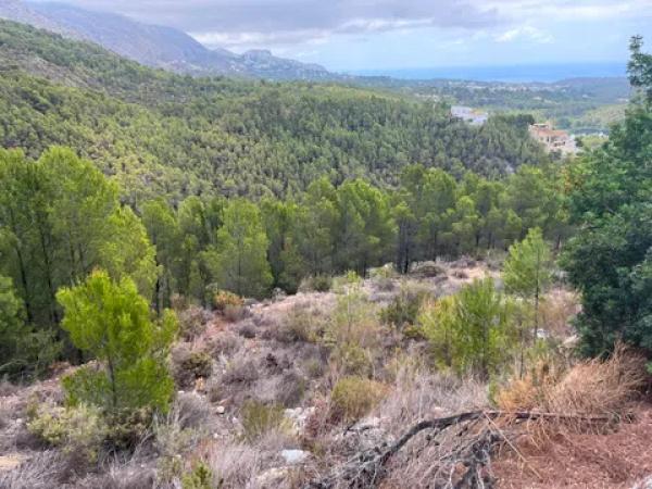 Terreno en Callosa d'En Sarria thumbnail 3