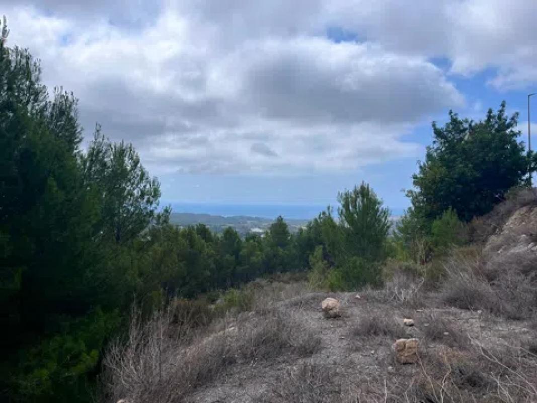 Działka na sprzedaż w Callosa d'En Sarria, Alicante photo 2