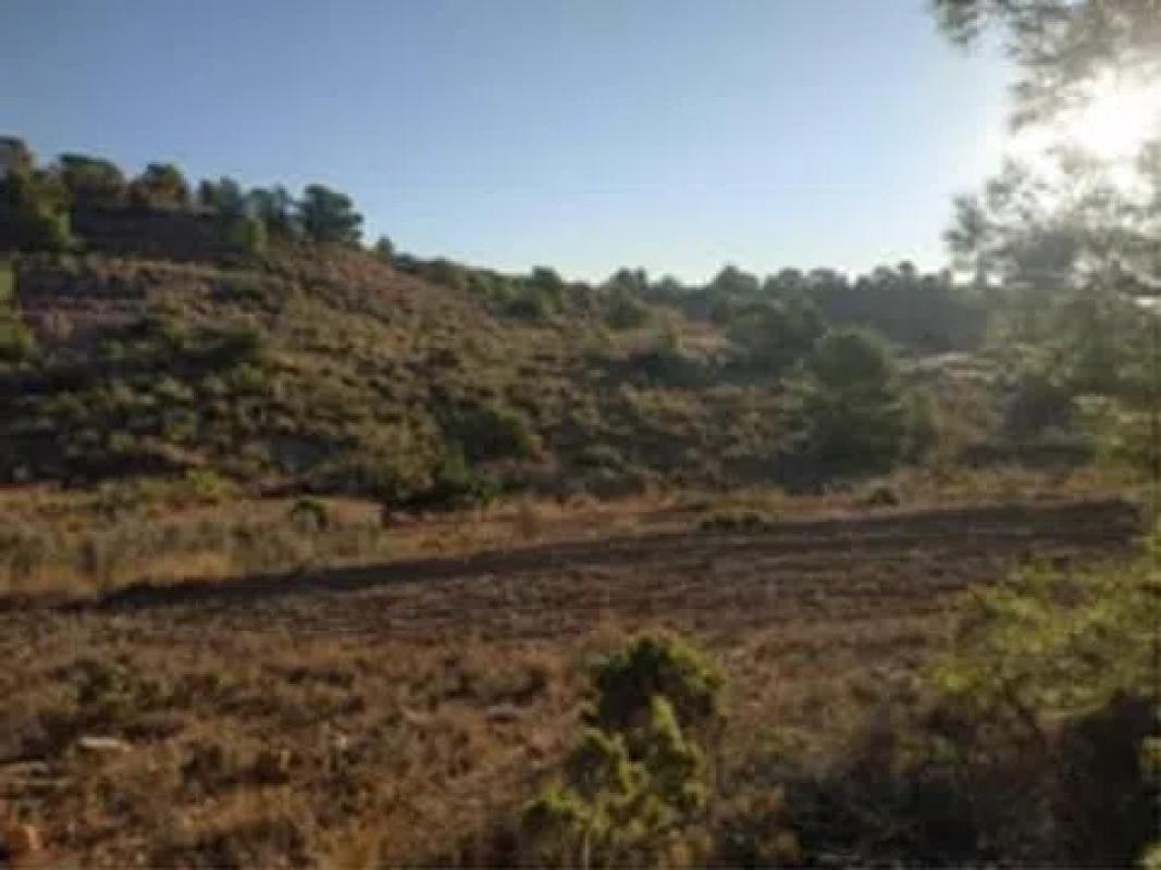 Terreno en venta en La Romana, Alicante photo 5