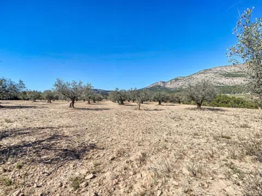 Land for sale in Castalla, Alicante photo 2