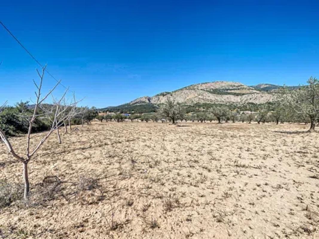 Land for sale in Castalla, Alicante photo 3