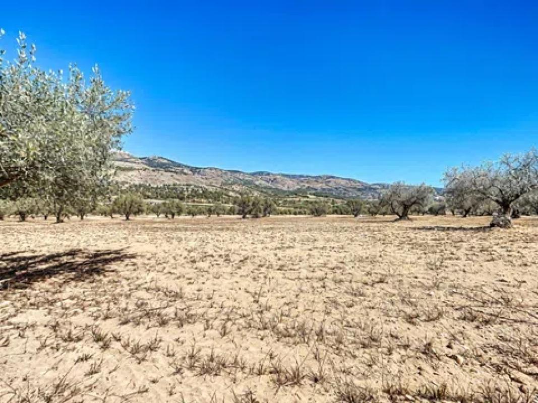 Land for sale in Castalla, Alicante photo 4