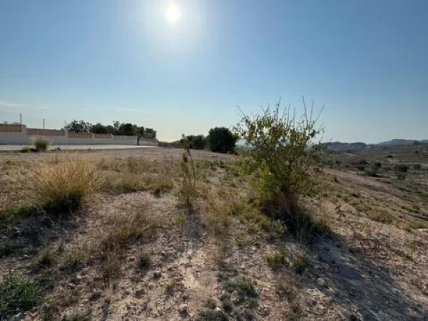 Terreno en Moralet photo 3