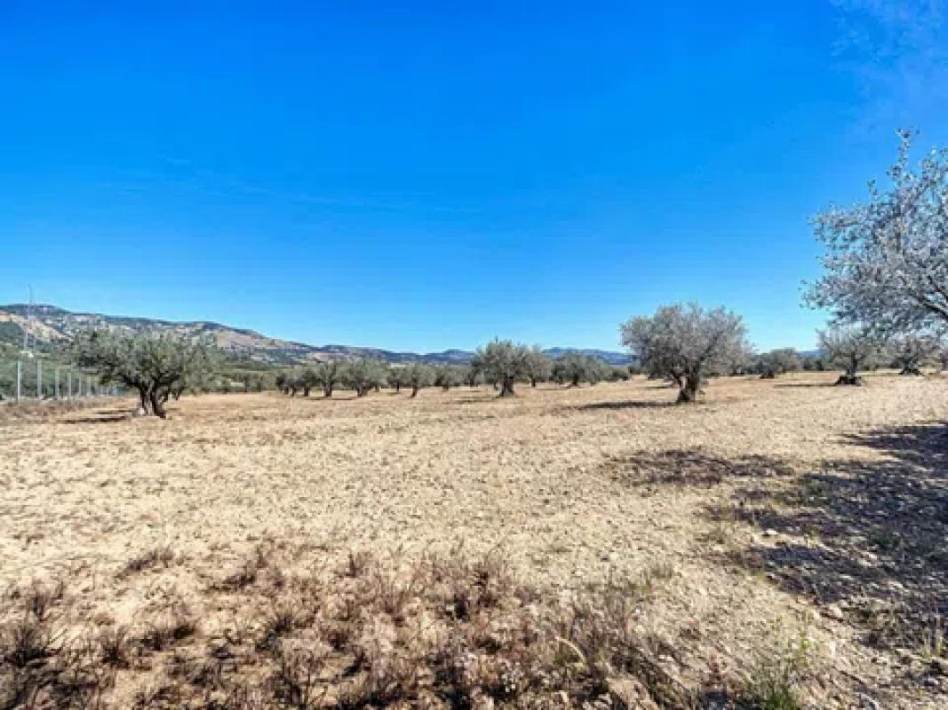 Land for sale in Castalla, Alicante photo 5