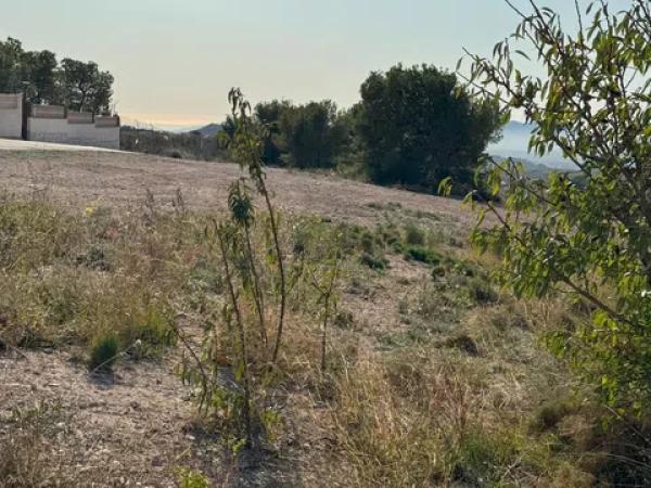Terreno en Moralet photo 4