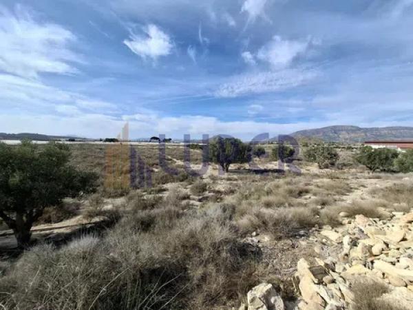 Terreno en Agost photo 1