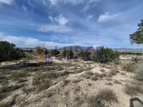 Terreno en Agost photo 4