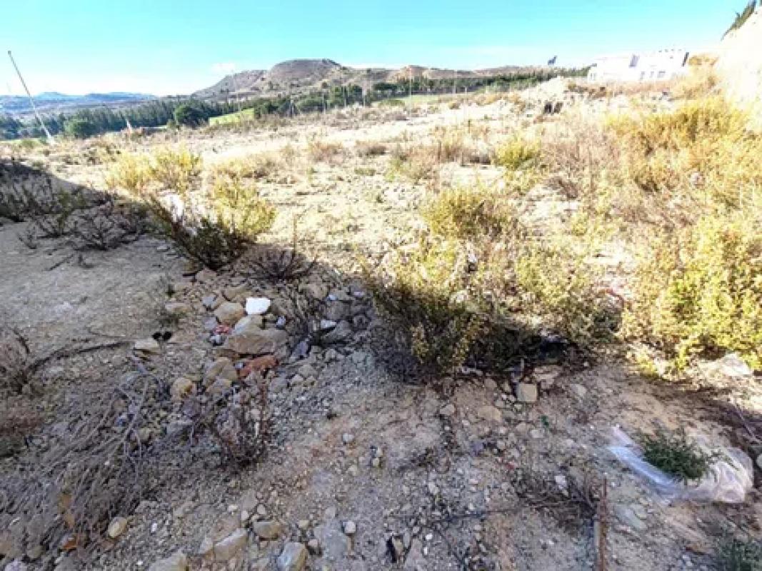 Terreno en venta en Monforte del Cid, Alicante photo 3