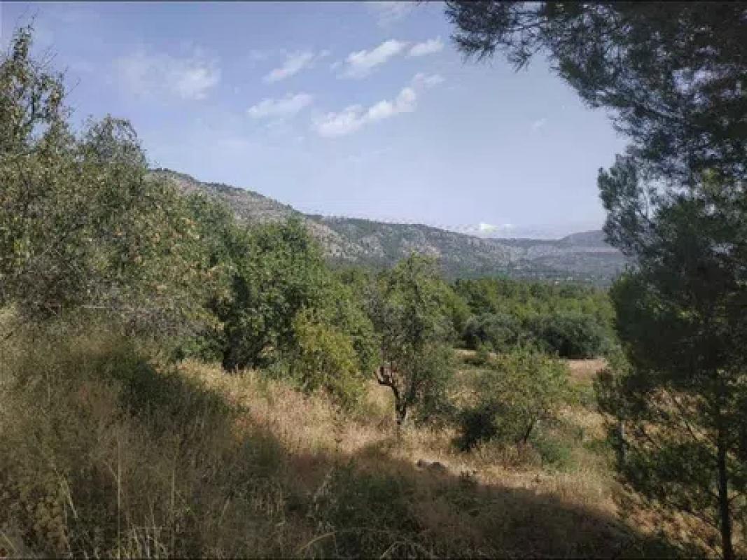 Terreno en venta en Cocentaina, Alicante photo 5