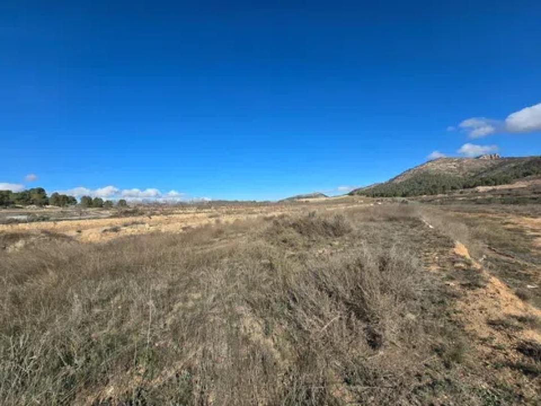 Terreno en venta en Monovar, Alicante photo 1
