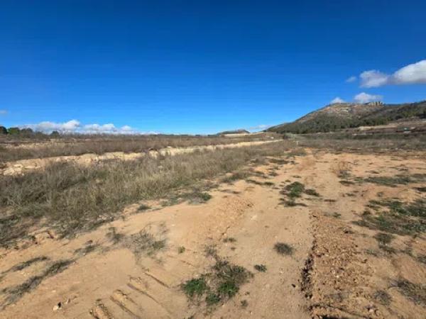 Terreno en Monovar photo 3